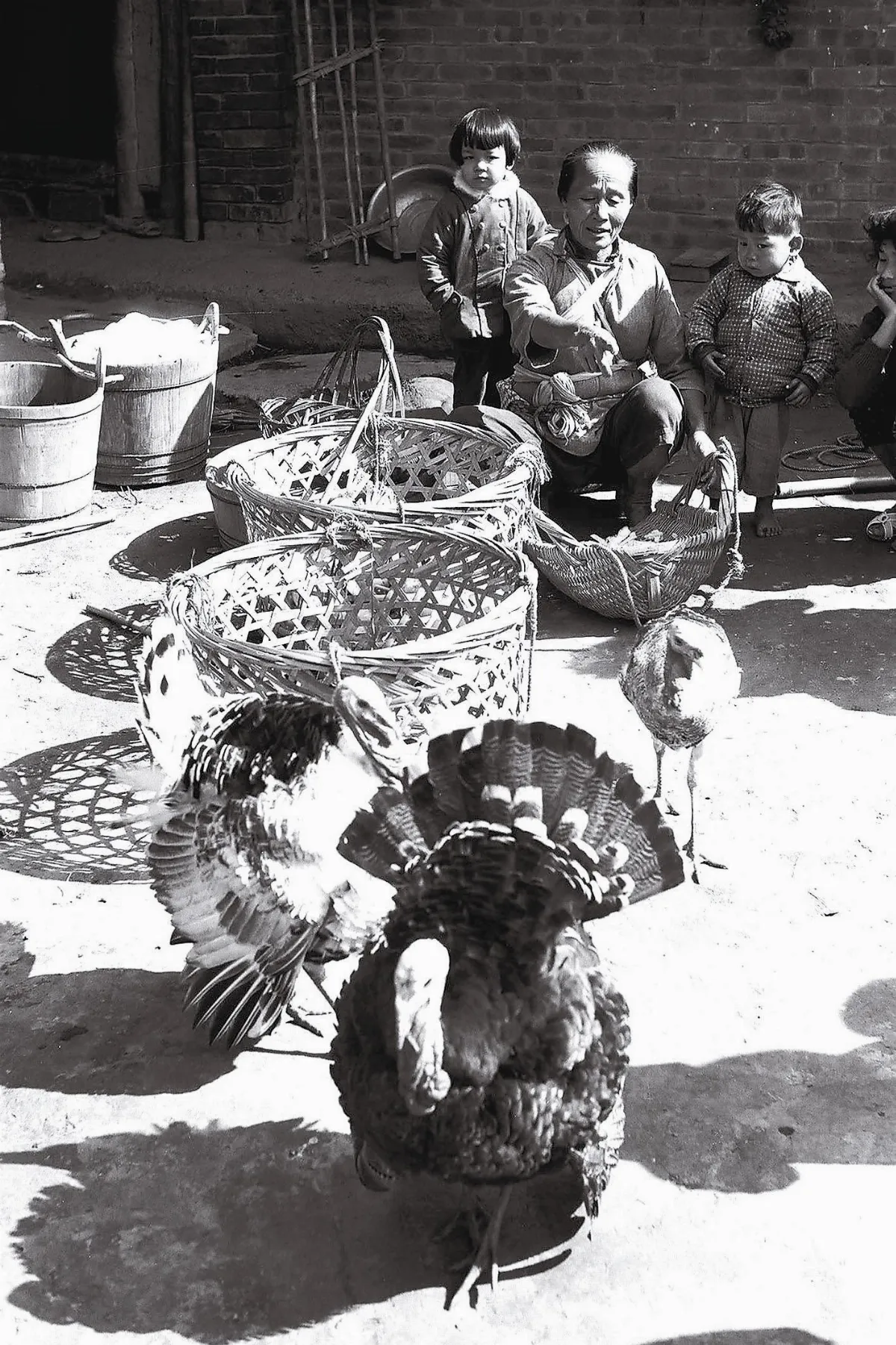 【歲月台灣系列‧母親】阿嬤—母親的母親