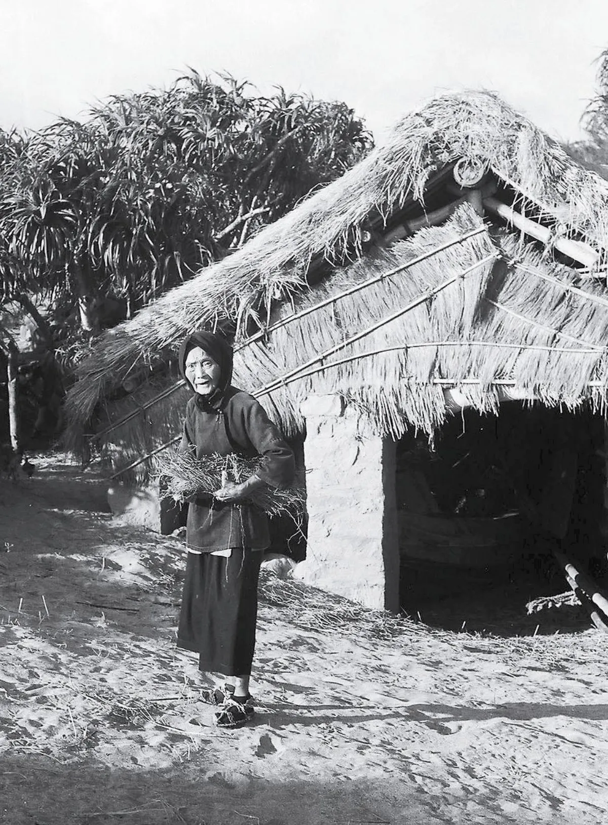 歲月台灣系列‧母親典型的農村圖