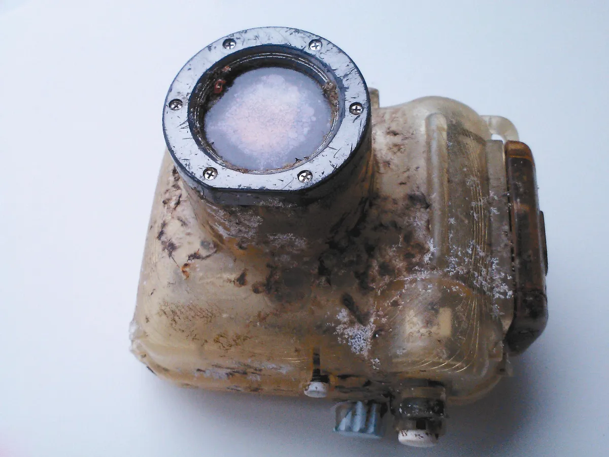 誰的相機？幫你尋回憶