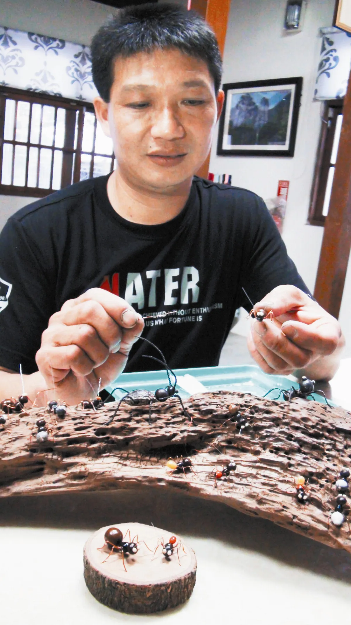 樹枝  種子  變身小螞蟻