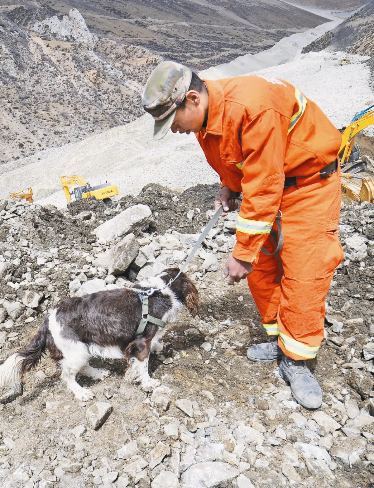 藏山崩救援難 搜救犬也患高山症