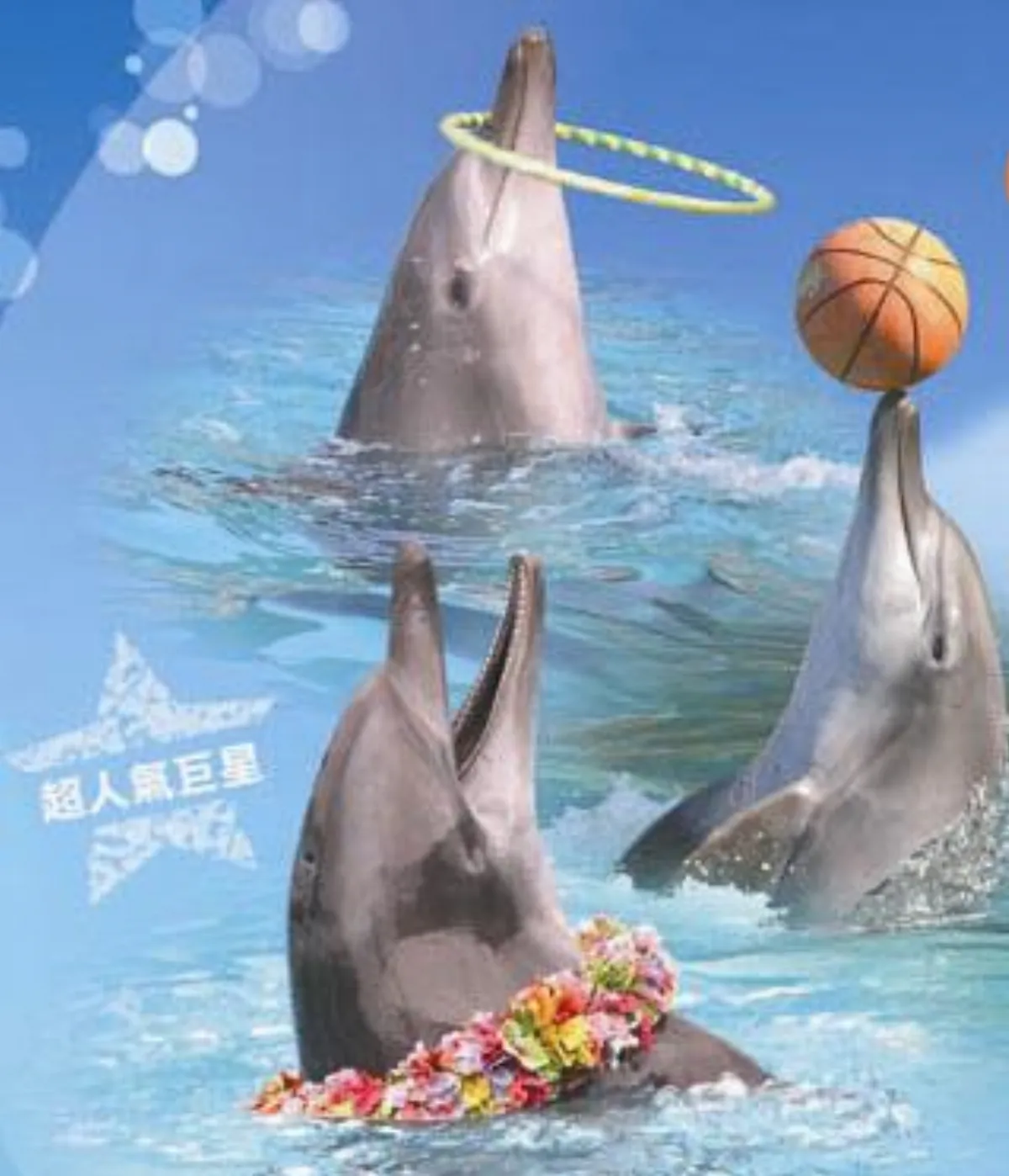 家庭好康情報 分享站樂遊 野柳海洋世界 活動日期：四月四日（星期四）