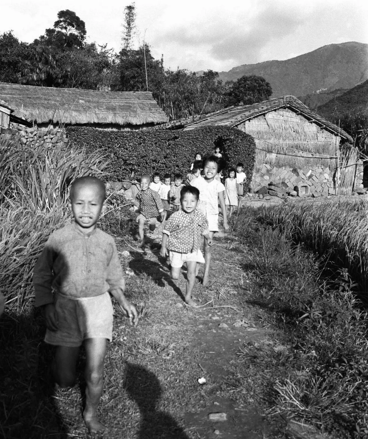【歲月台灣系列‧童年】孩提紀事  彷彿影像倒帶