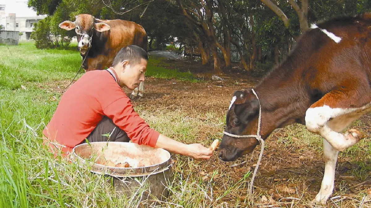 【社區部落格】放牛吃麵包 牠是我寵物