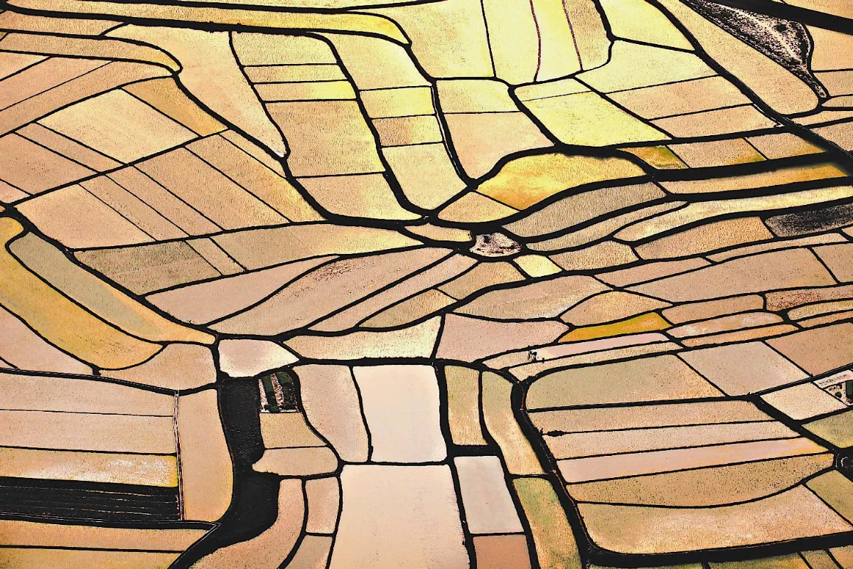 金色田園