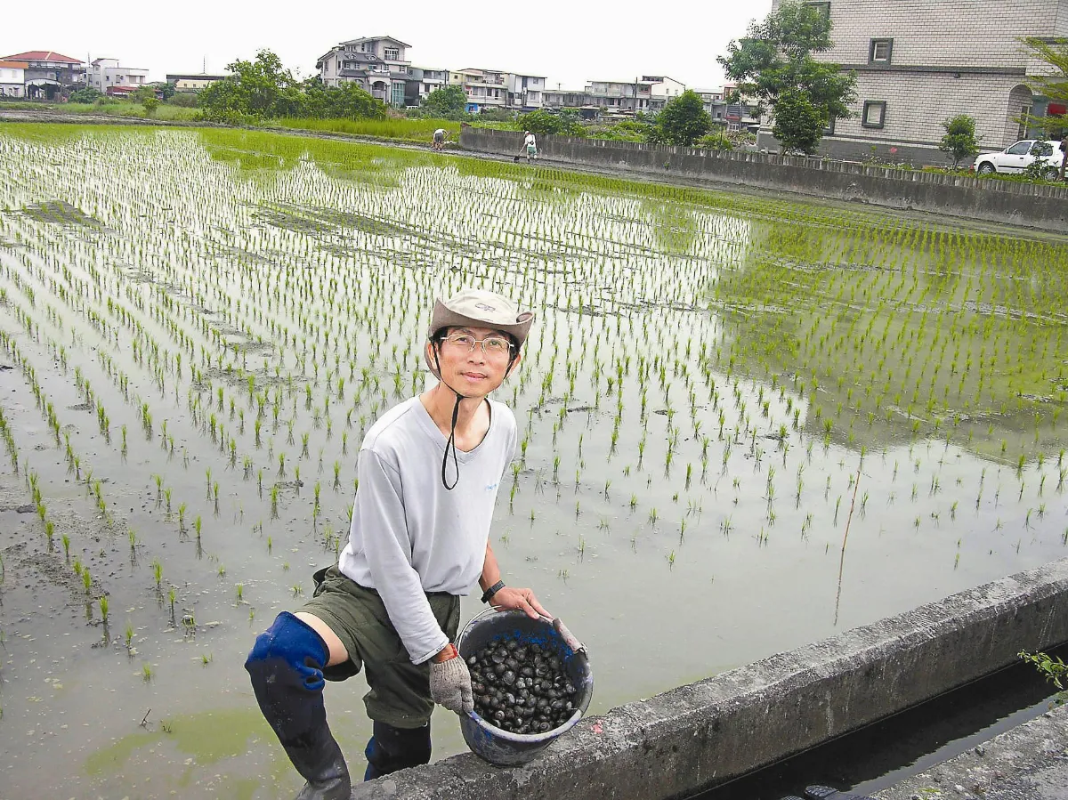 有機村‧綠色專題瘠地新生 人與土地更建康