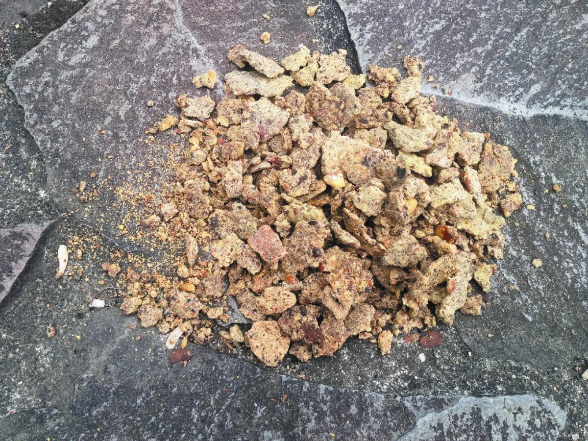 苦茶粕 壞了故宮荷池美景