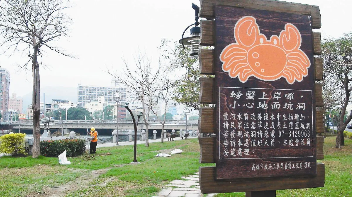 愛河變乾淨 螃蟹鑿洞惹禍