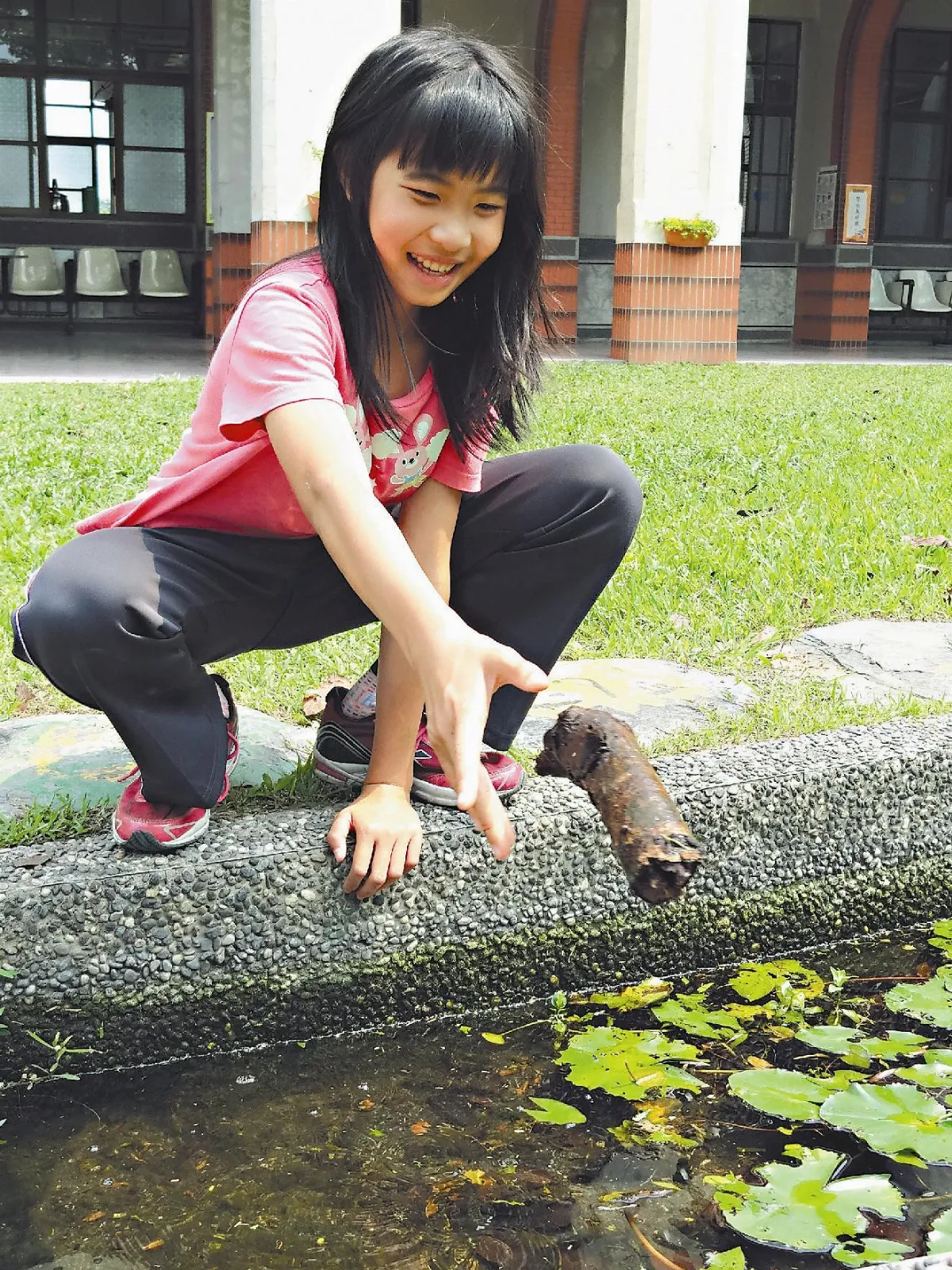 復育小溪 作文優選