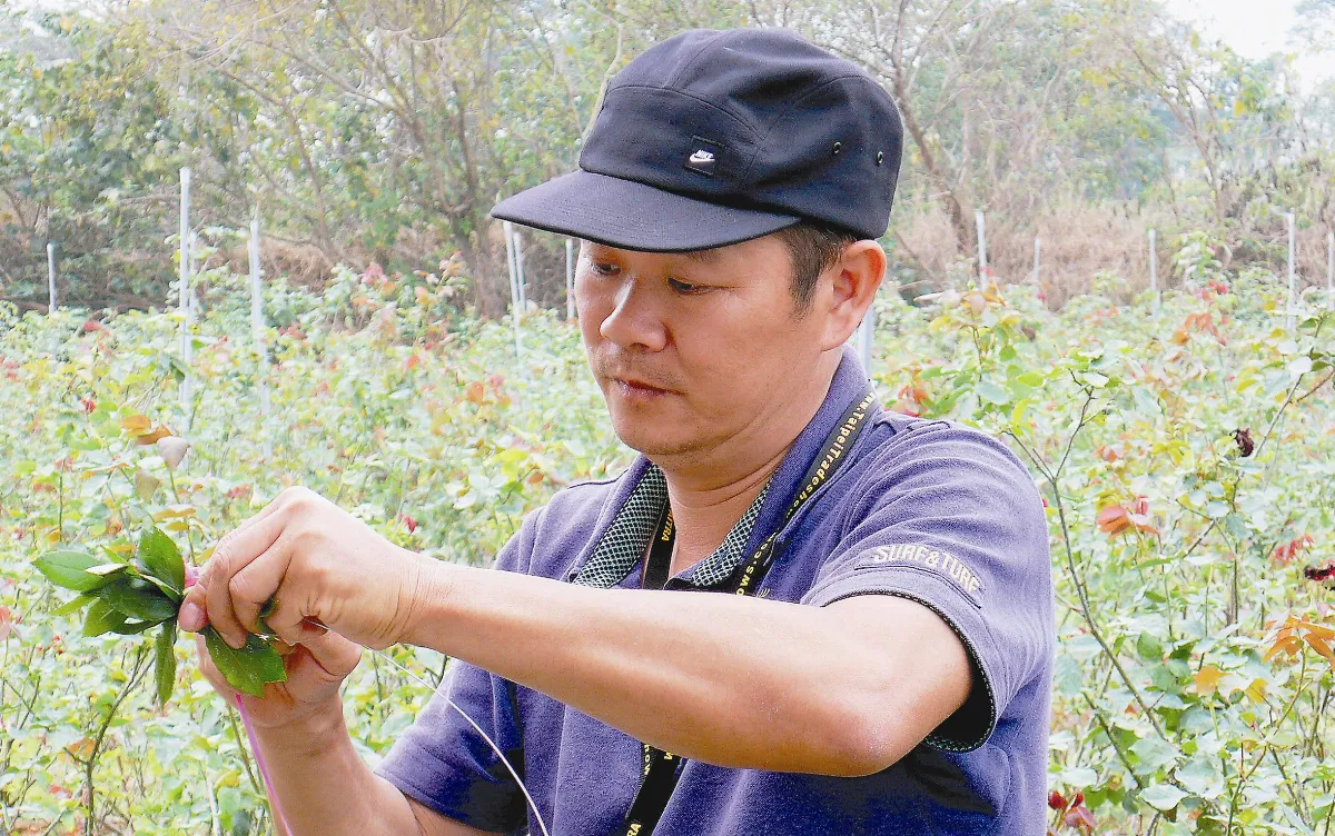 楊添得因為玫瑰  45歲從零打拚