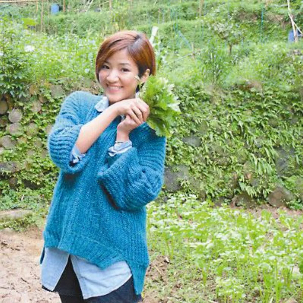 優質電視選 全新食代——堅守傳統種菇人