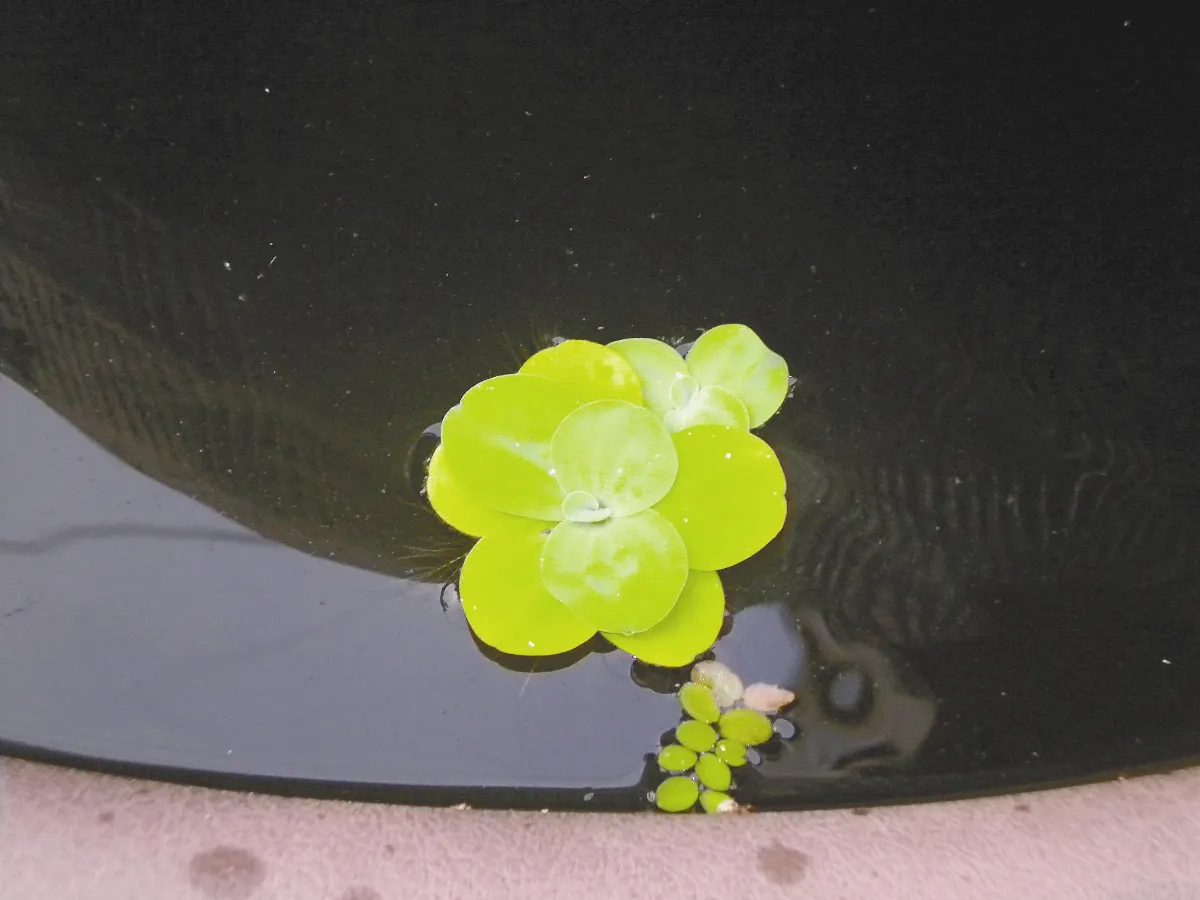 掌握當下