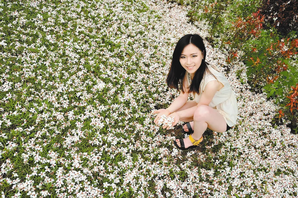 佛大4月雪 桐花綴校園