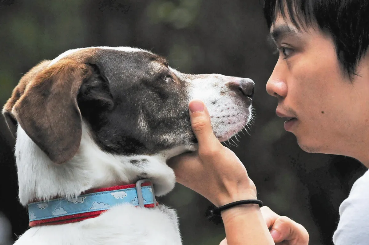 犬蛔蟲幼蟲鑽眼 國一生險失明