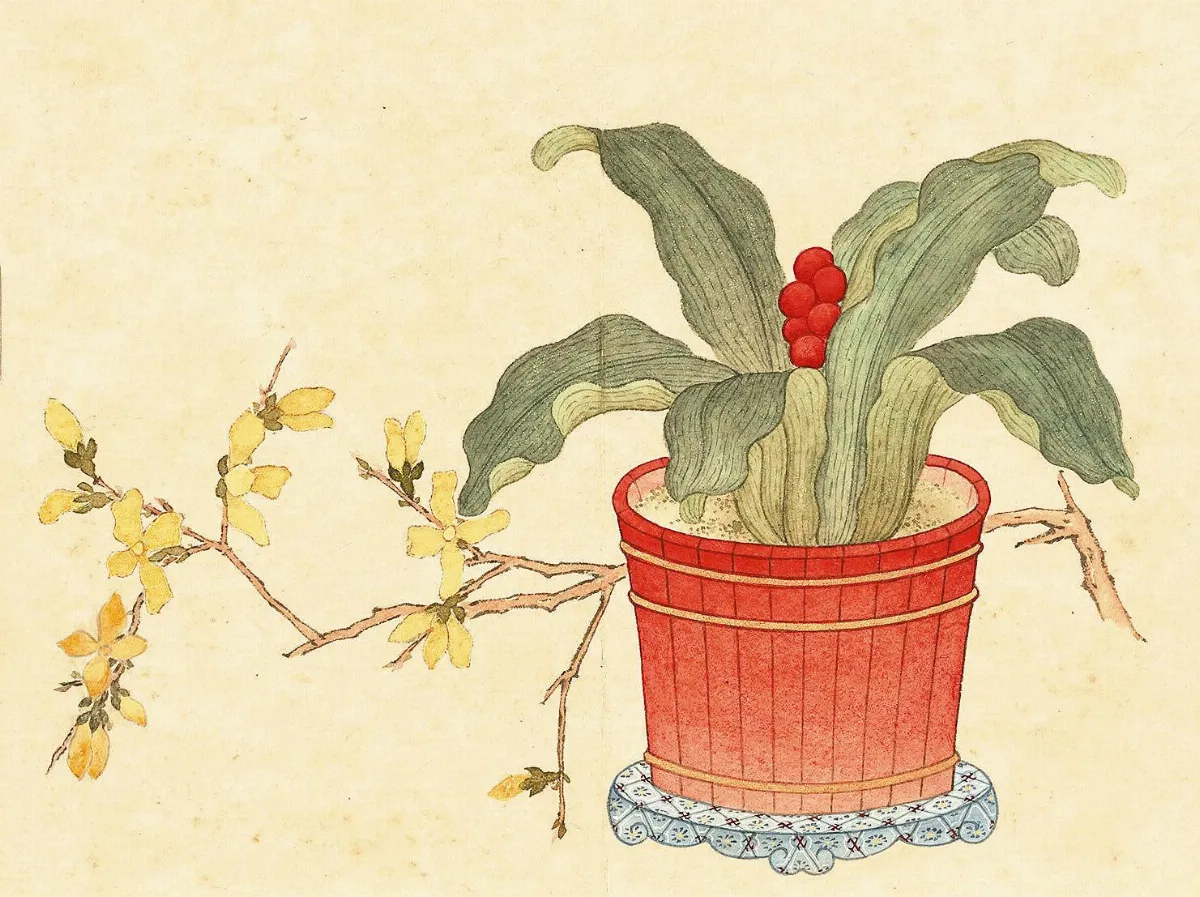 【盆中清翫特展】清‧沈煥〈萬年青花盆〉