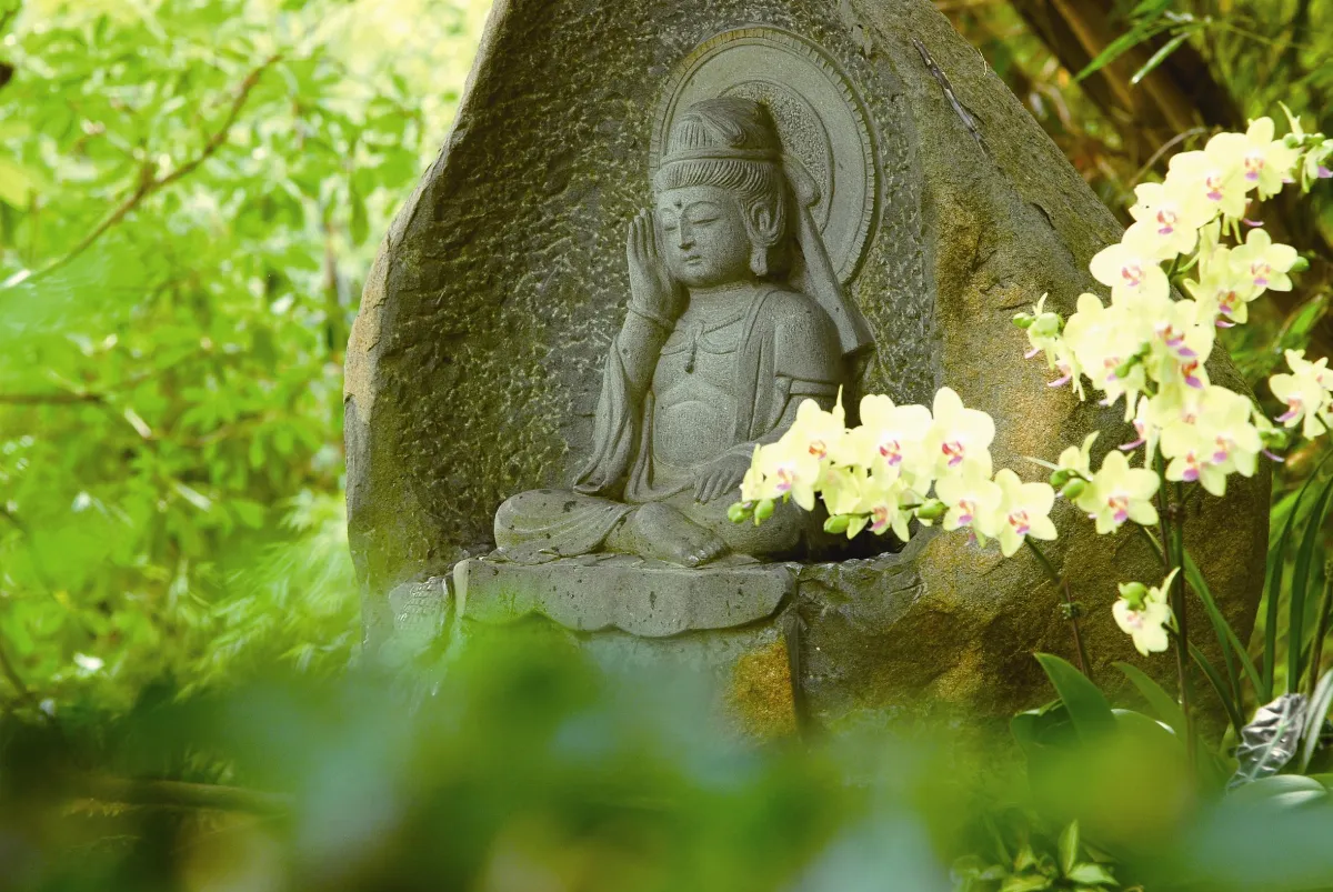 老禪師用智化干戈為玉帛
