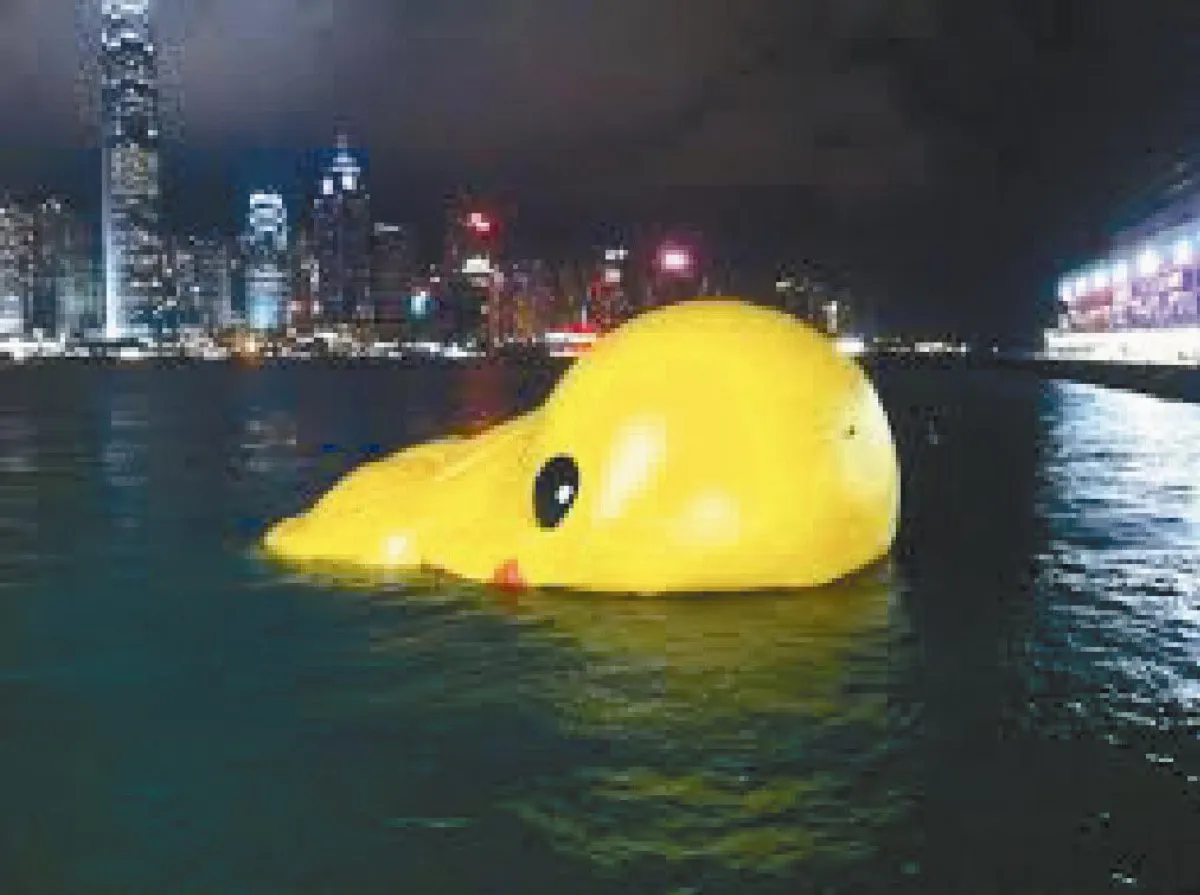 橡皮鴨染禽流感？洩氣漂海面