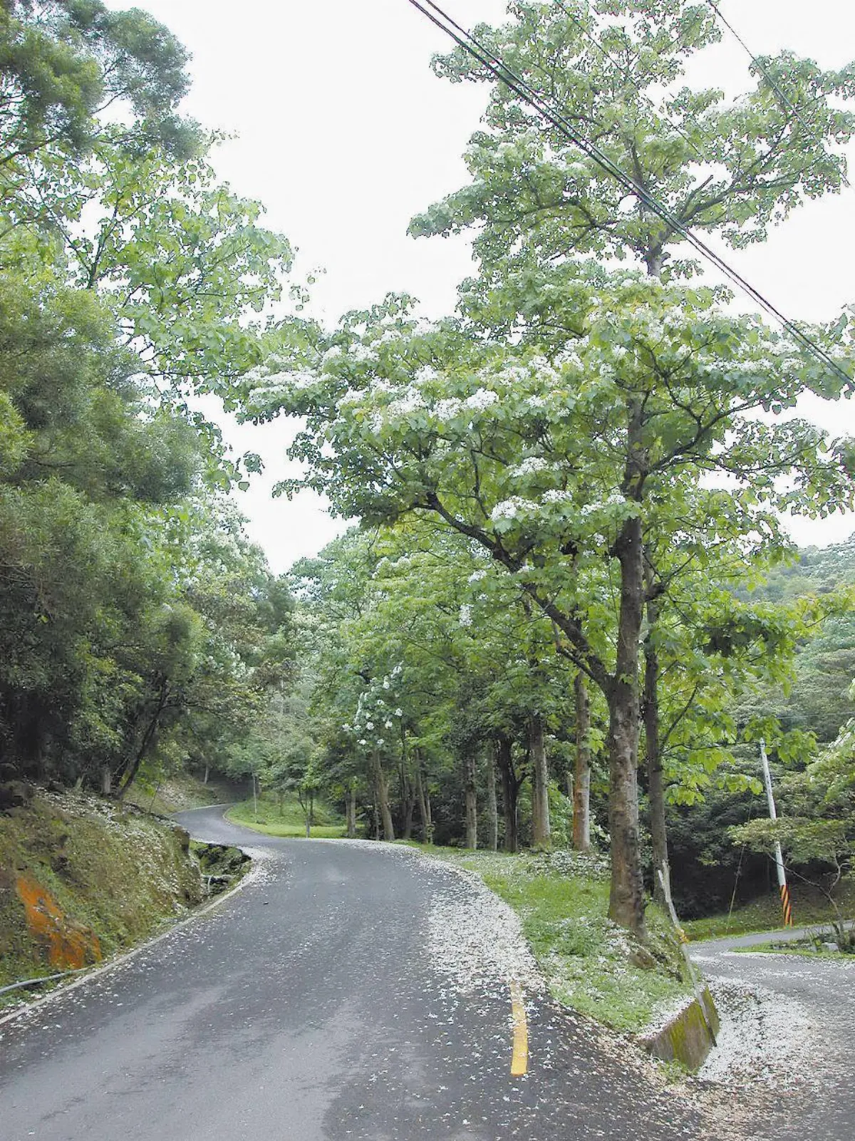 印象．旅人   桐遊十三分郭家聚落