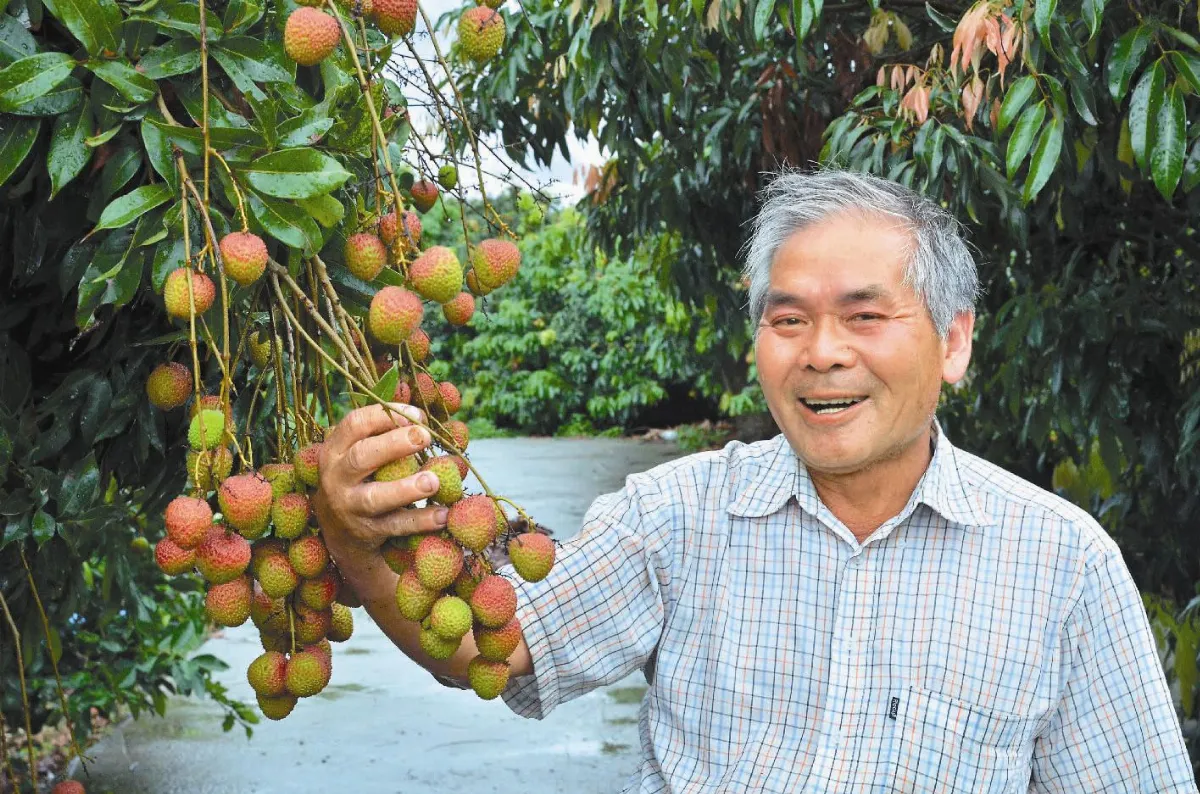 莊進雄種玉荷包 創人生第二春