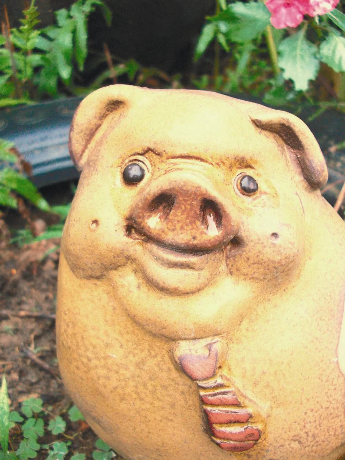 【藝術天地】情感如洋蔥