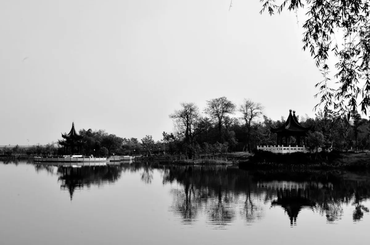 徵圖入選作品 黑與白夢幻雲湖