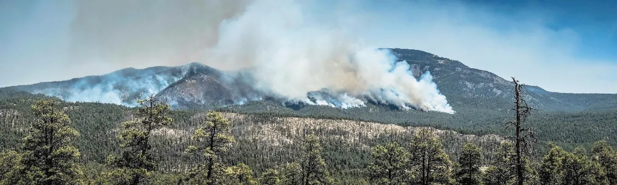 美西野火亂竄 洛城千戶撤離