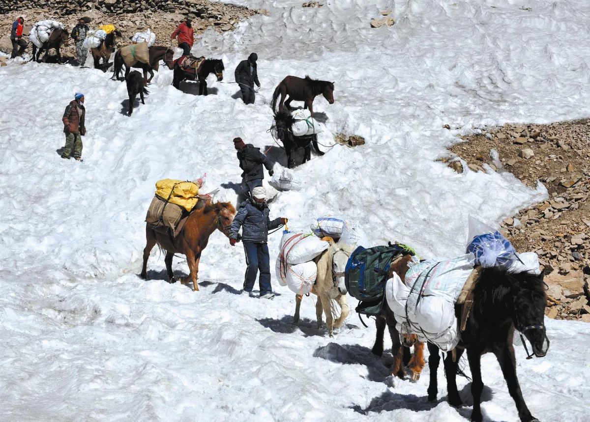 中印邊界帳篷對峙 日本見縫插針