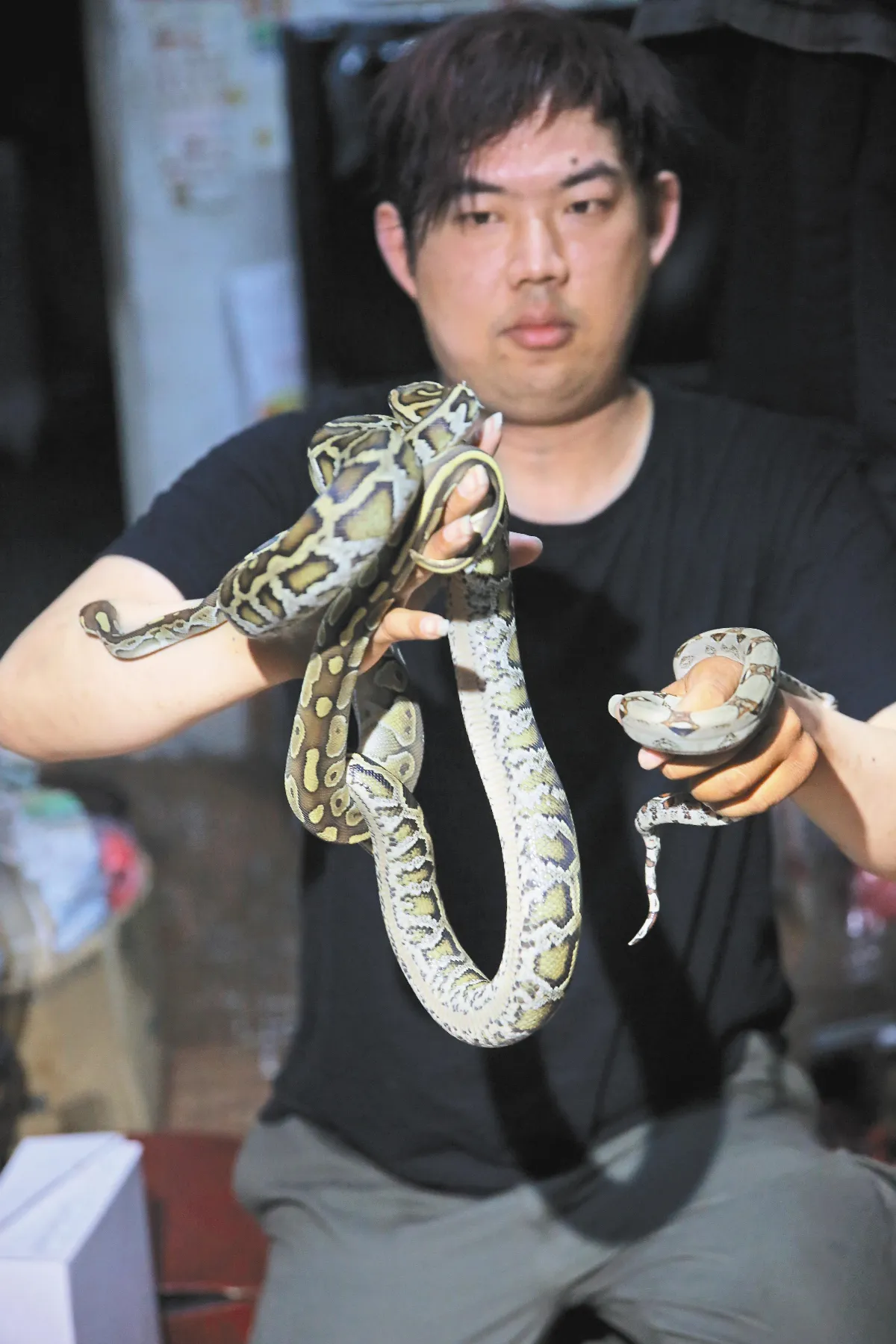就是愛蛇 擁11條蛇入睡