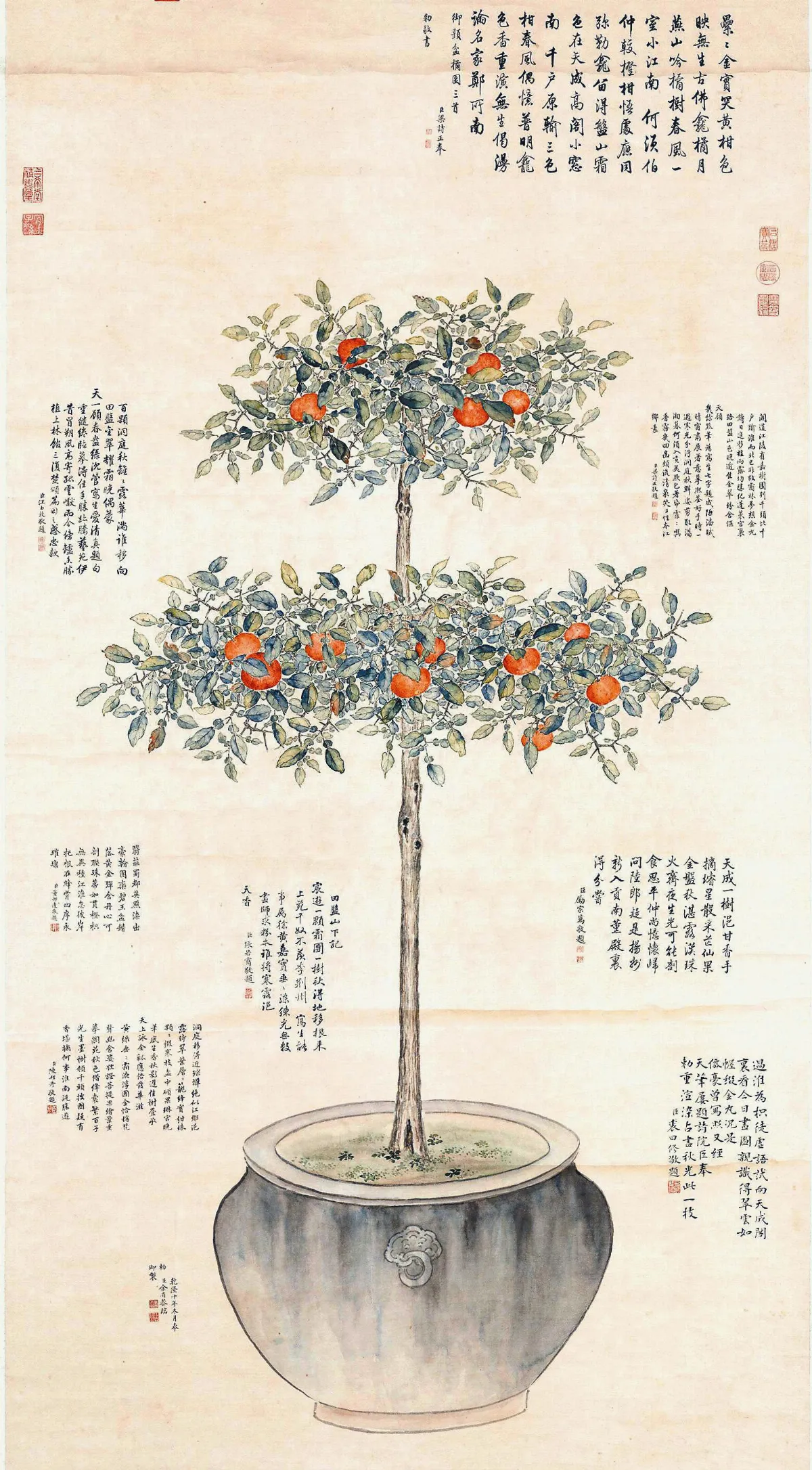 【盆中清翫特展】清‧余省‧仿御筆盆橘圖