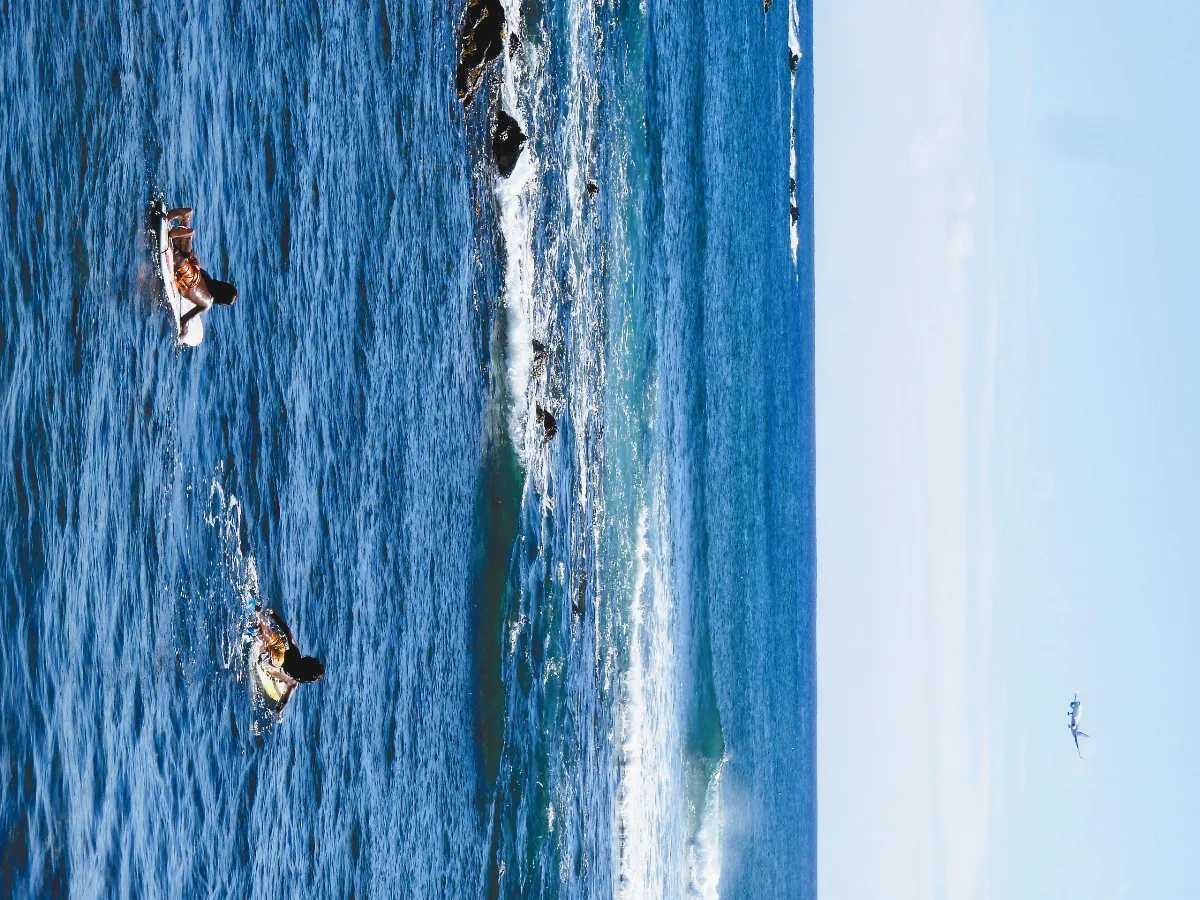 海闊天空在沙發上衝浪吧！