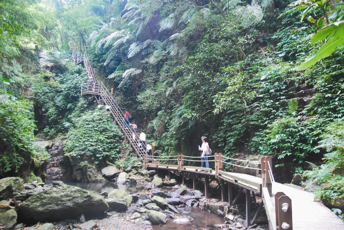 走林美步道 為你保200萬意外險