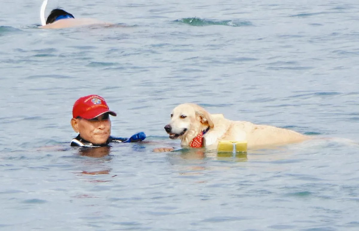 流浪狗饅頭 化身海上救難犬