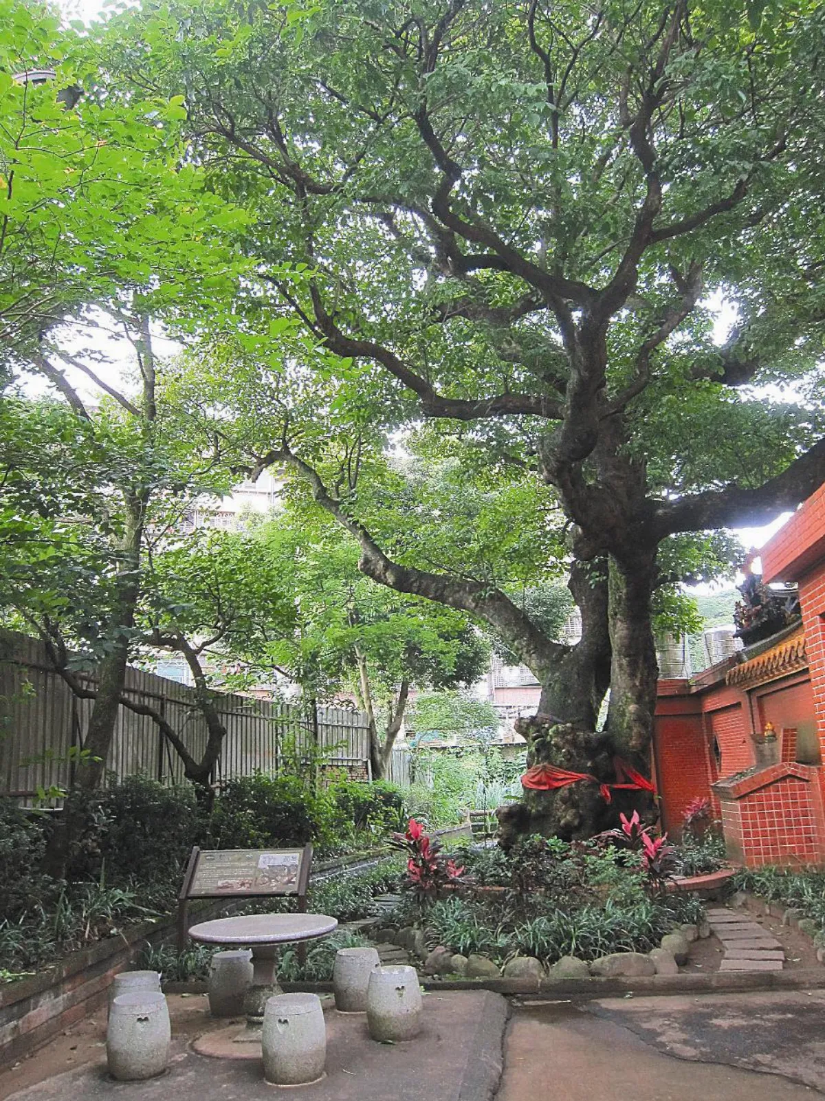 尋幽覓谷茄苳行