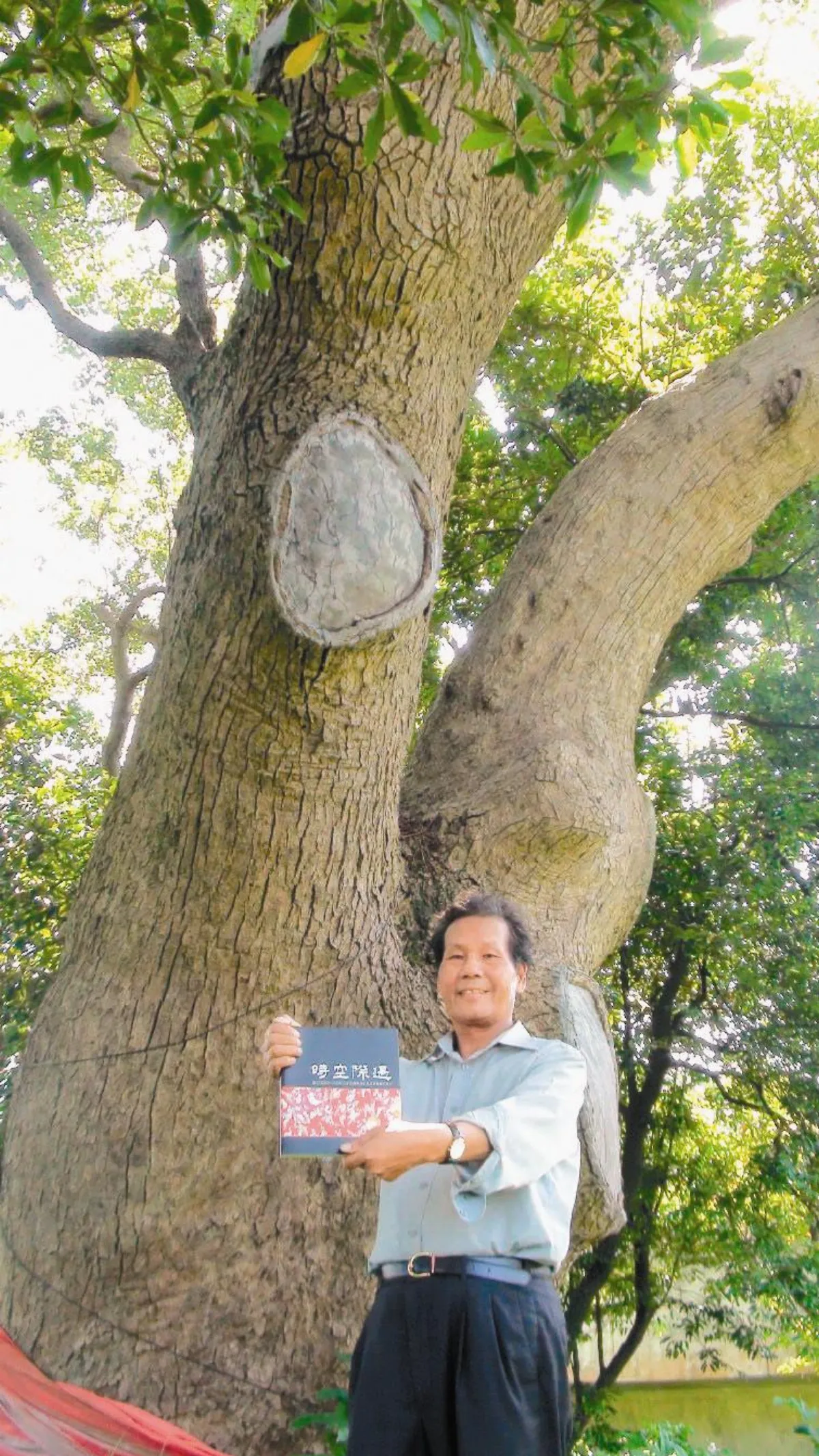 高鐵為老樹繞路風空美事今出書