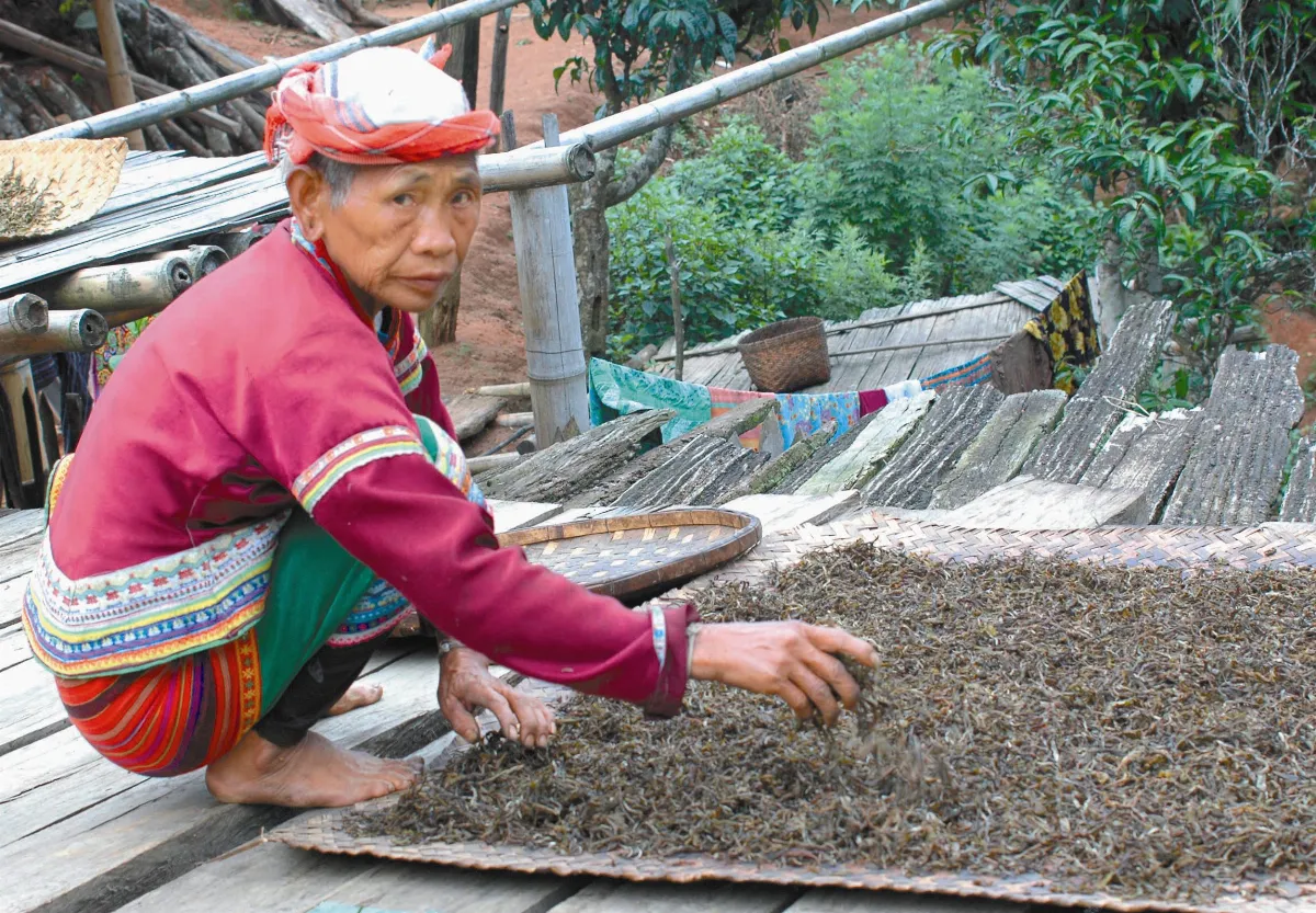 茶來茶去  冰島找茶