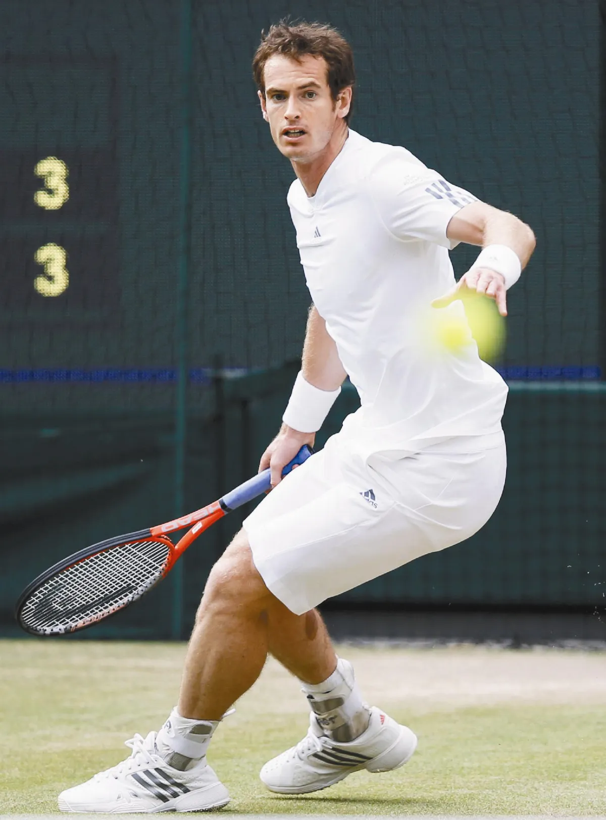 溫網男單4強  2新人vs.2老將