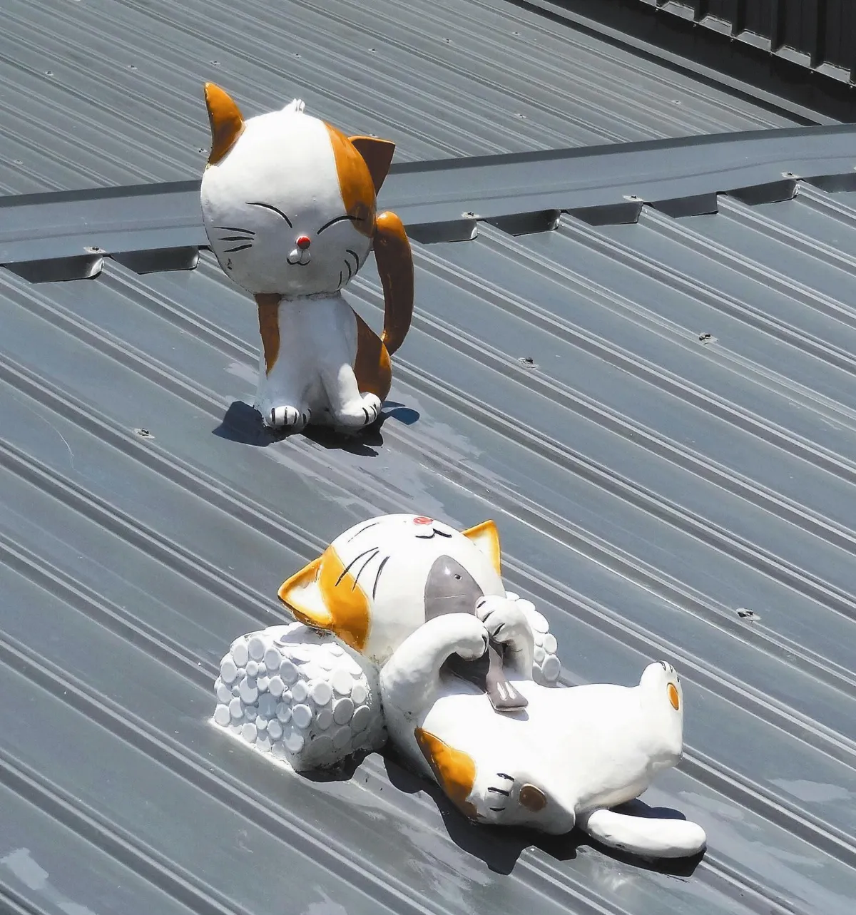 交趾剪黏花貓 鐵皮屋增淘氣