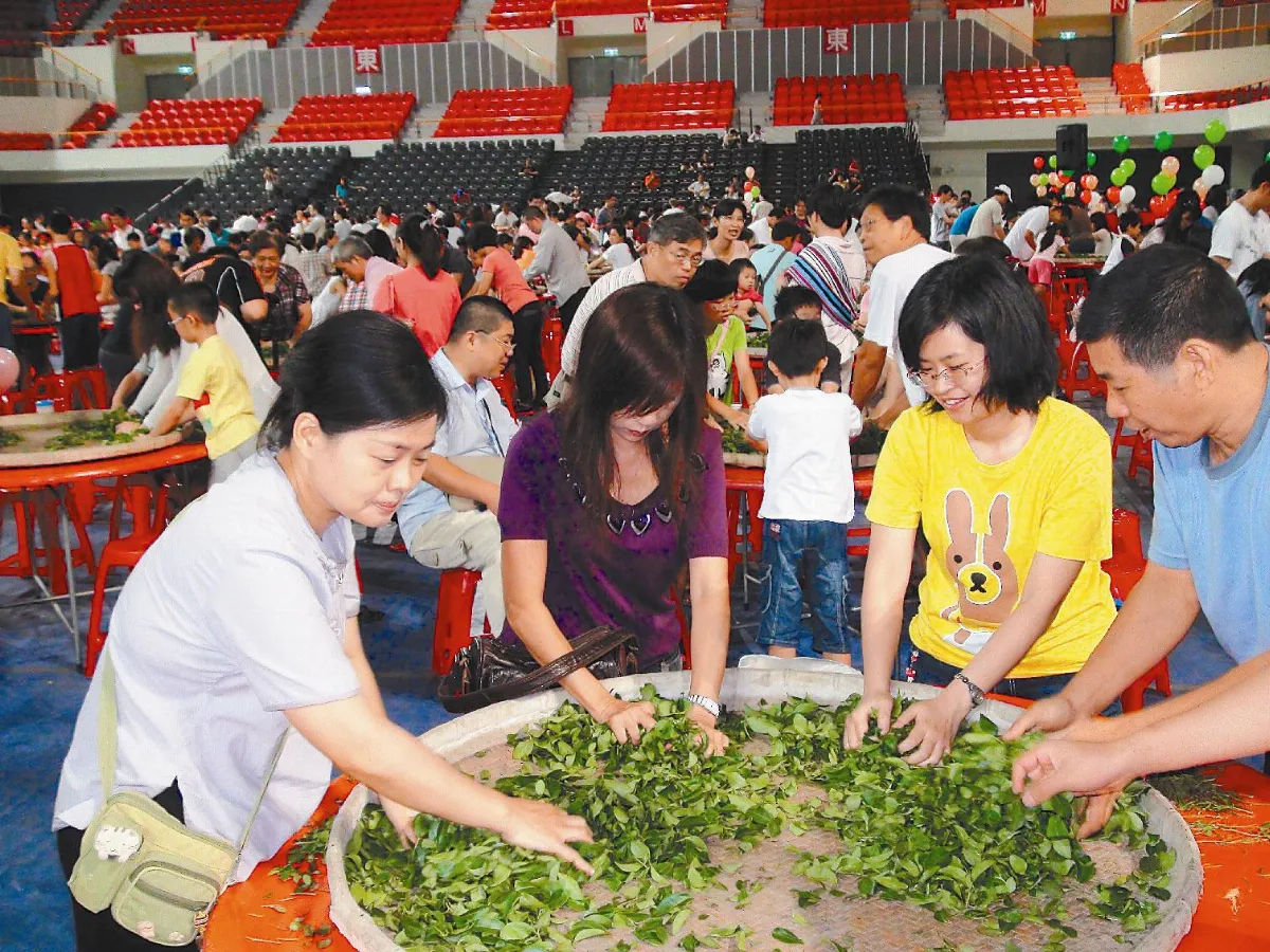 體驗茶農辛苦 千人製茶