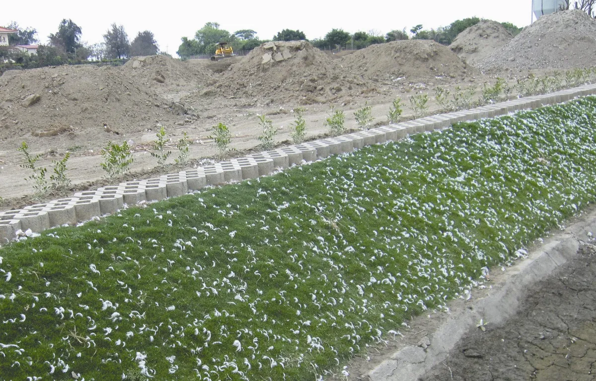 生活快門   繁「花」盛開