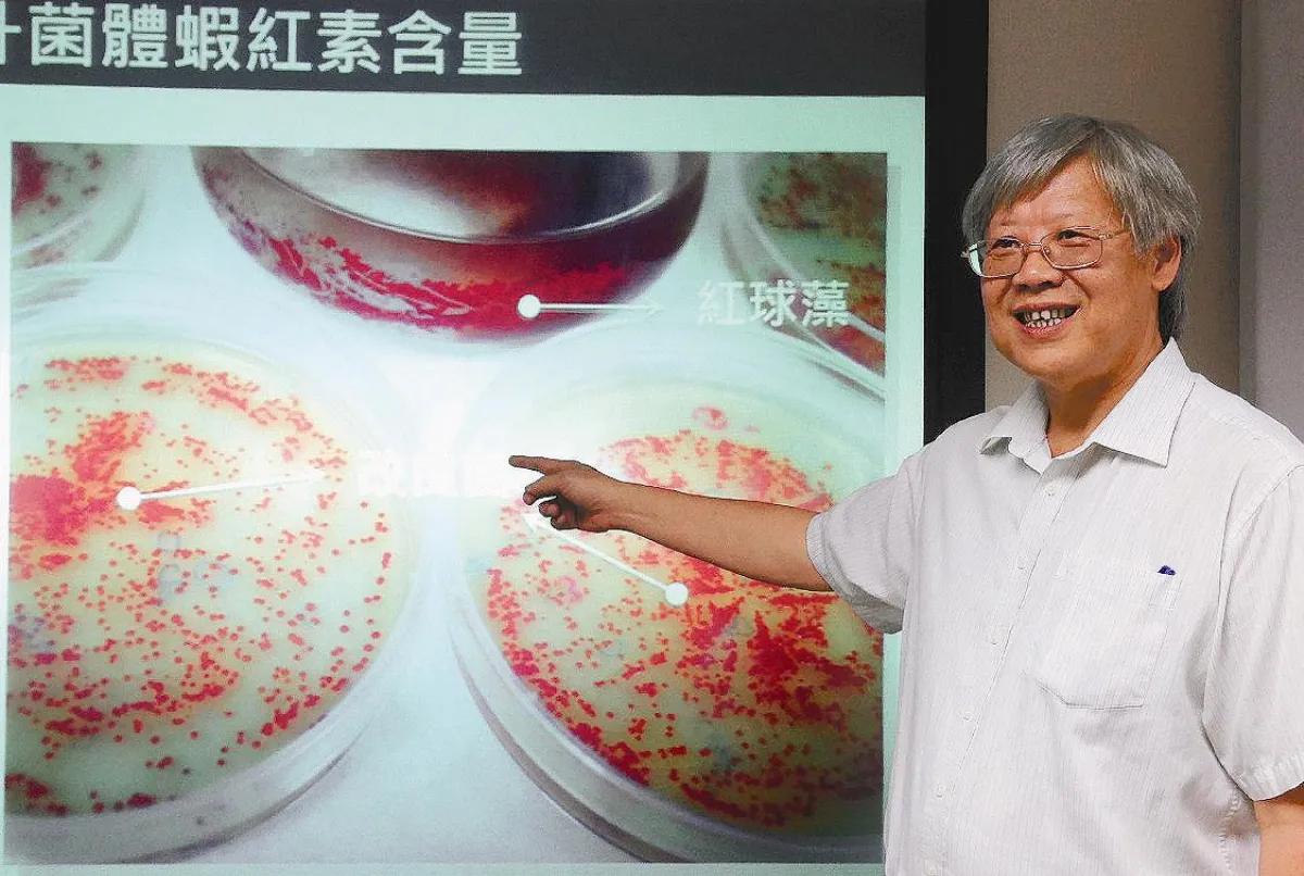 改良本土菌種 生產高濃度蝦紅素