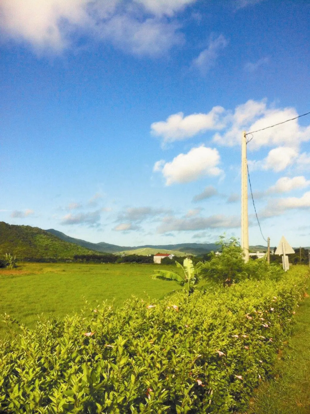 無懼失業 徒步41天環島