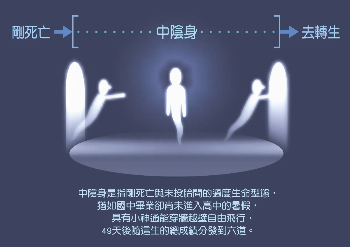 生命，我懂了
