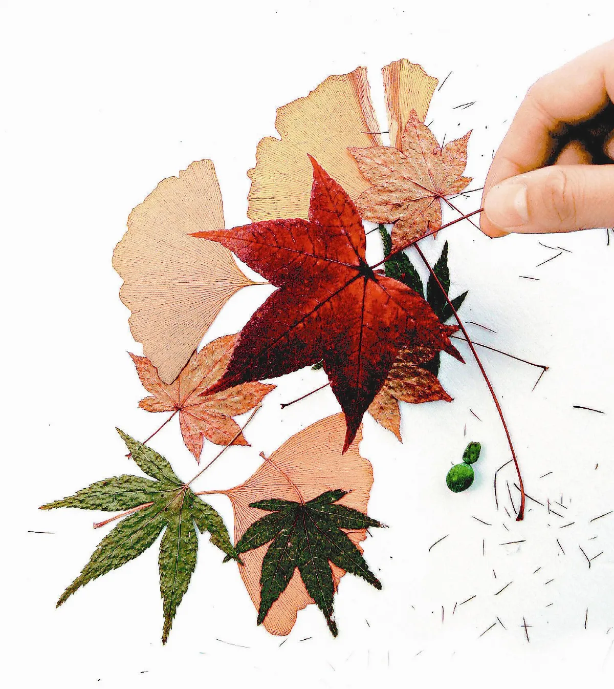 親子之間    握在手上的幸福