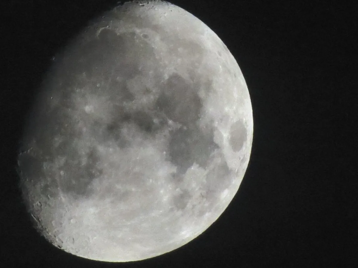 素人攝手   數位相機新花現