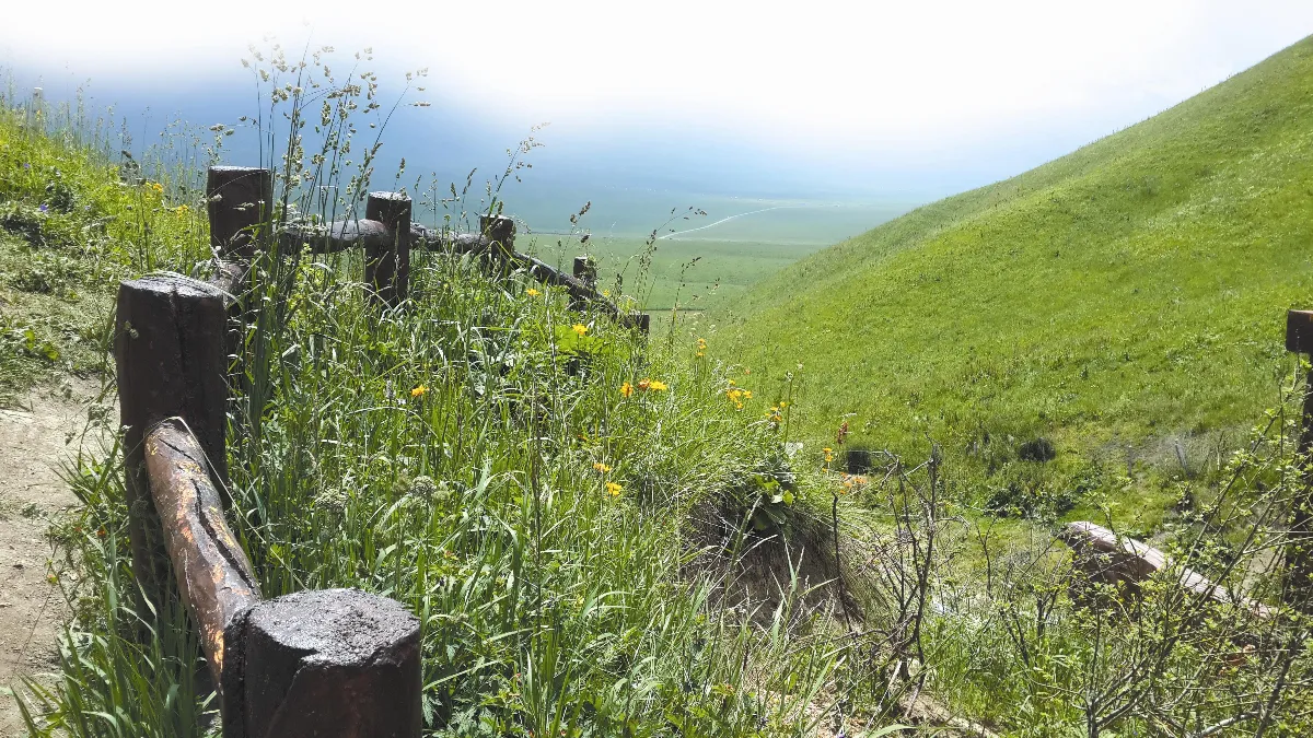 樂天知命的老農夫