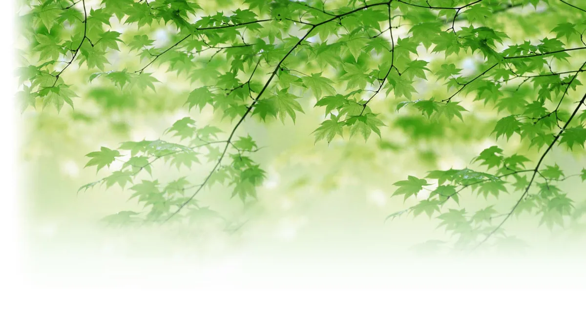 品德說福報教會學生的事