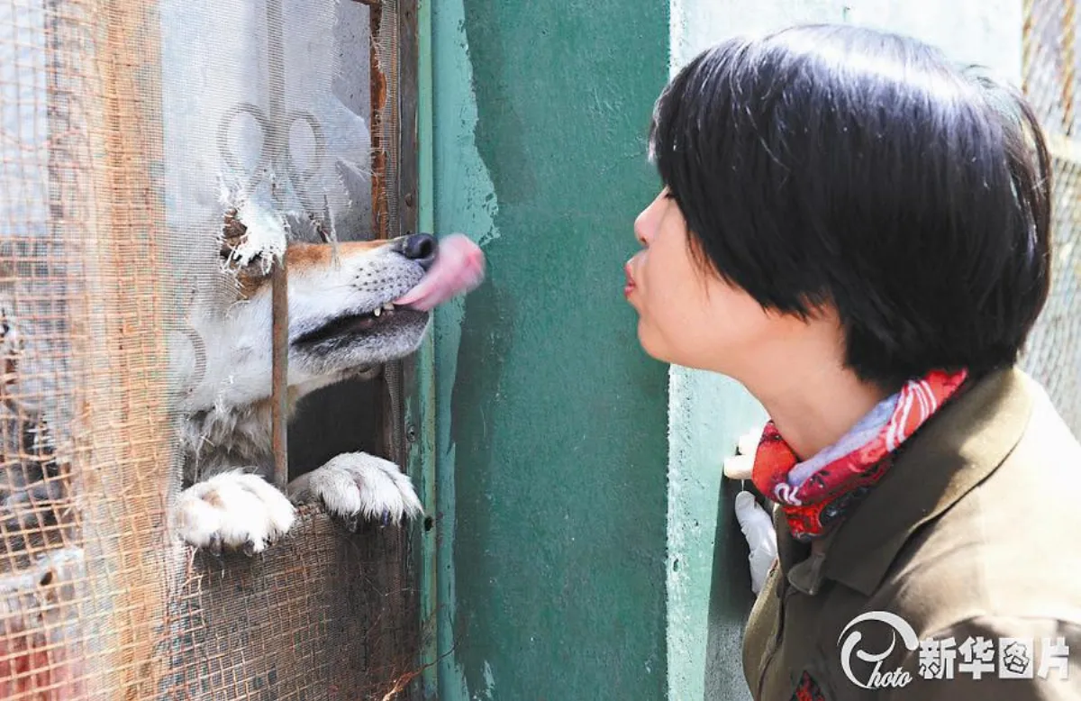 野狼谷 譜寫人狼情緣