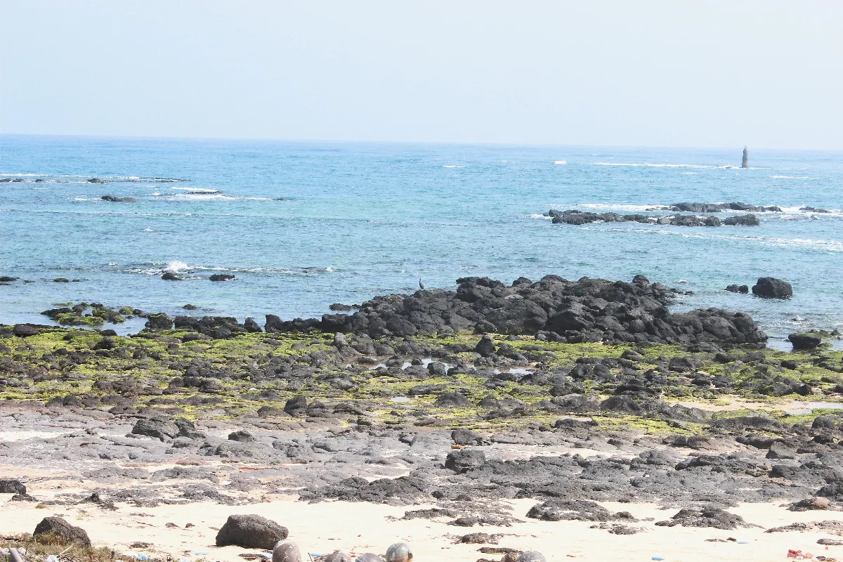 你是海洋，     不是浪花