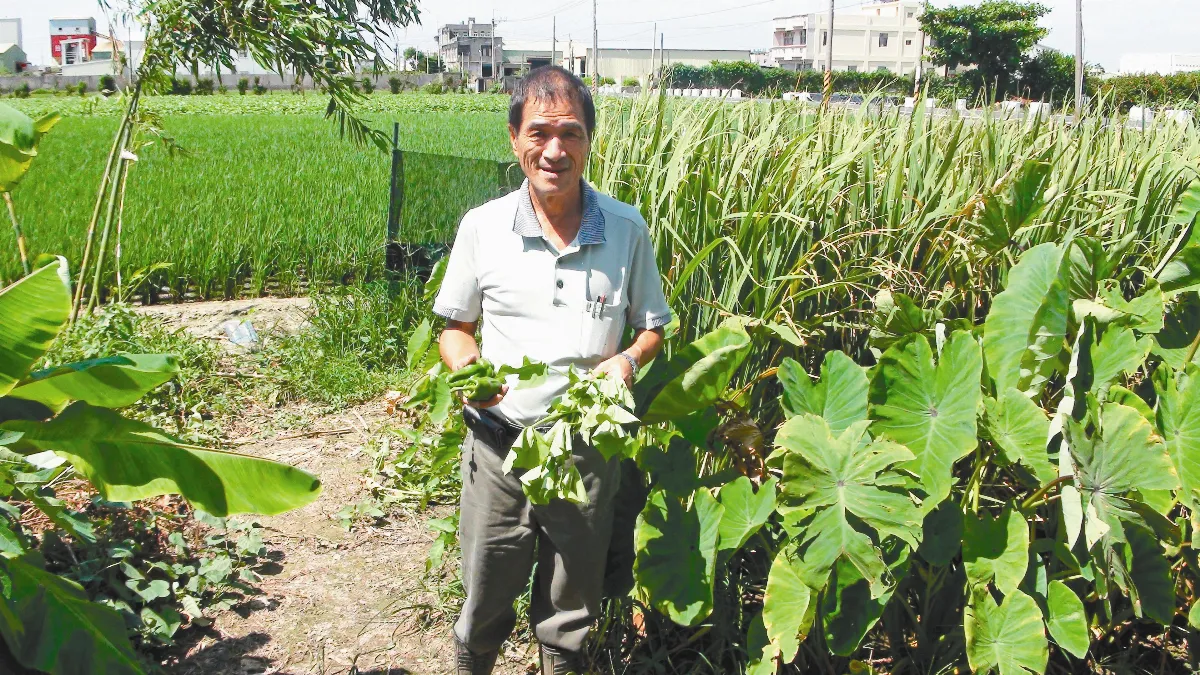 【社區部落格】施江山耕作 收成送弱勢