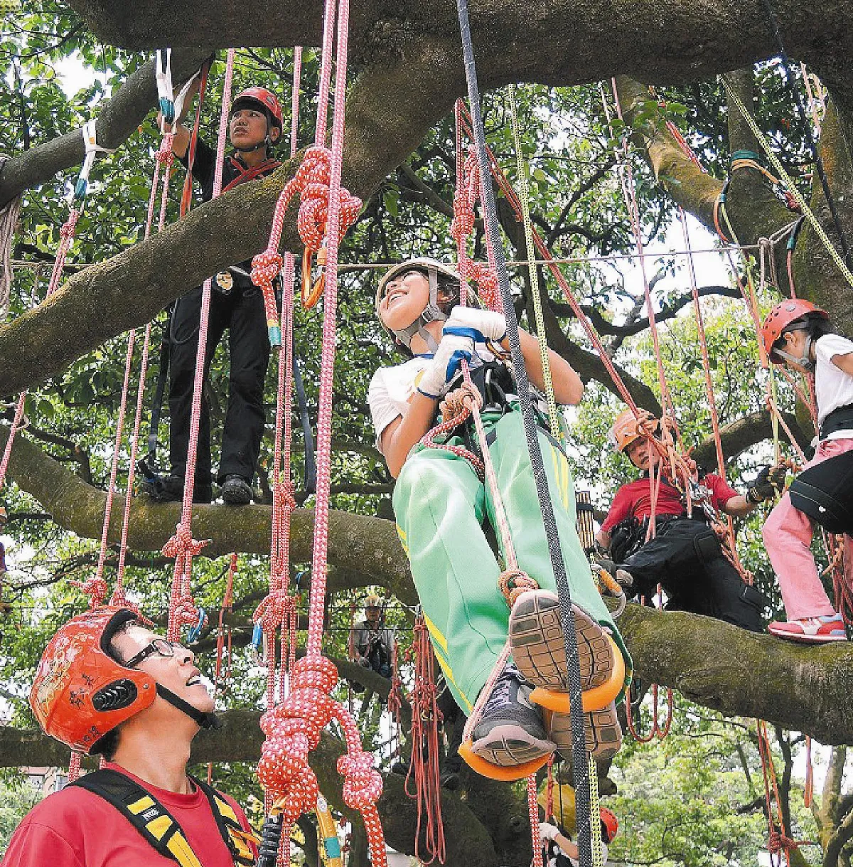 高原影像夏令營 爬樹學敬樹